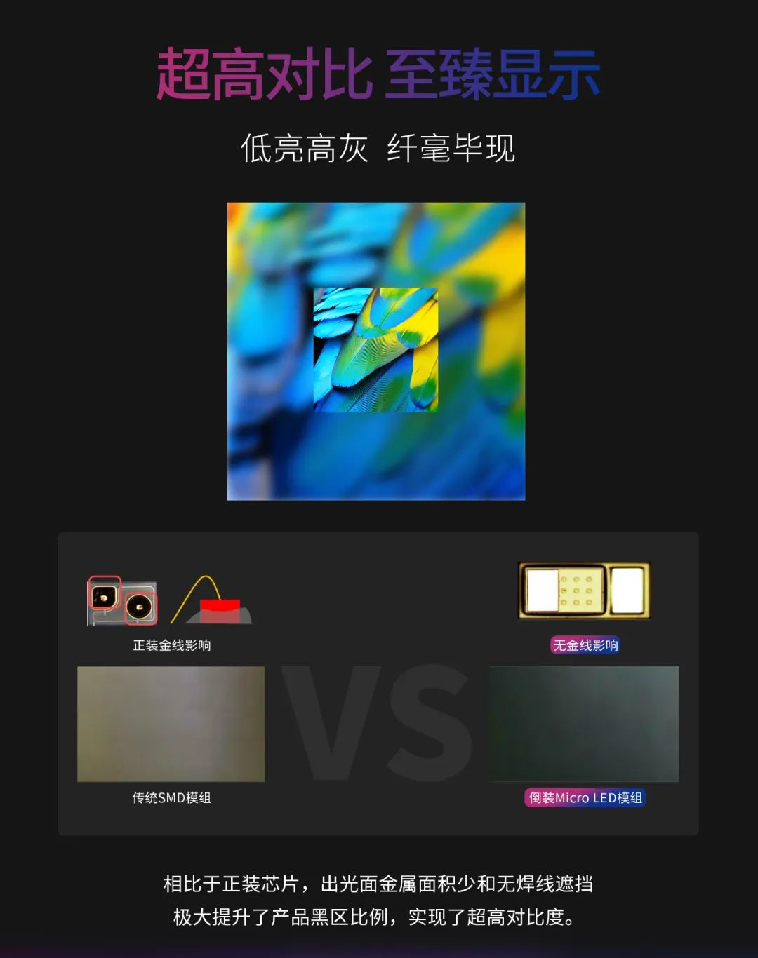一期一会 | 一图读懂今年会·(jinnianhui)金字招牌·利晶MIP新品系列